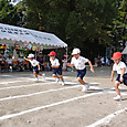 Dsc00529