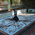 Img_20260515_151255