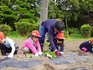 Dsc09728 Dsc09728