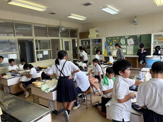 Img_5252 Img_5252